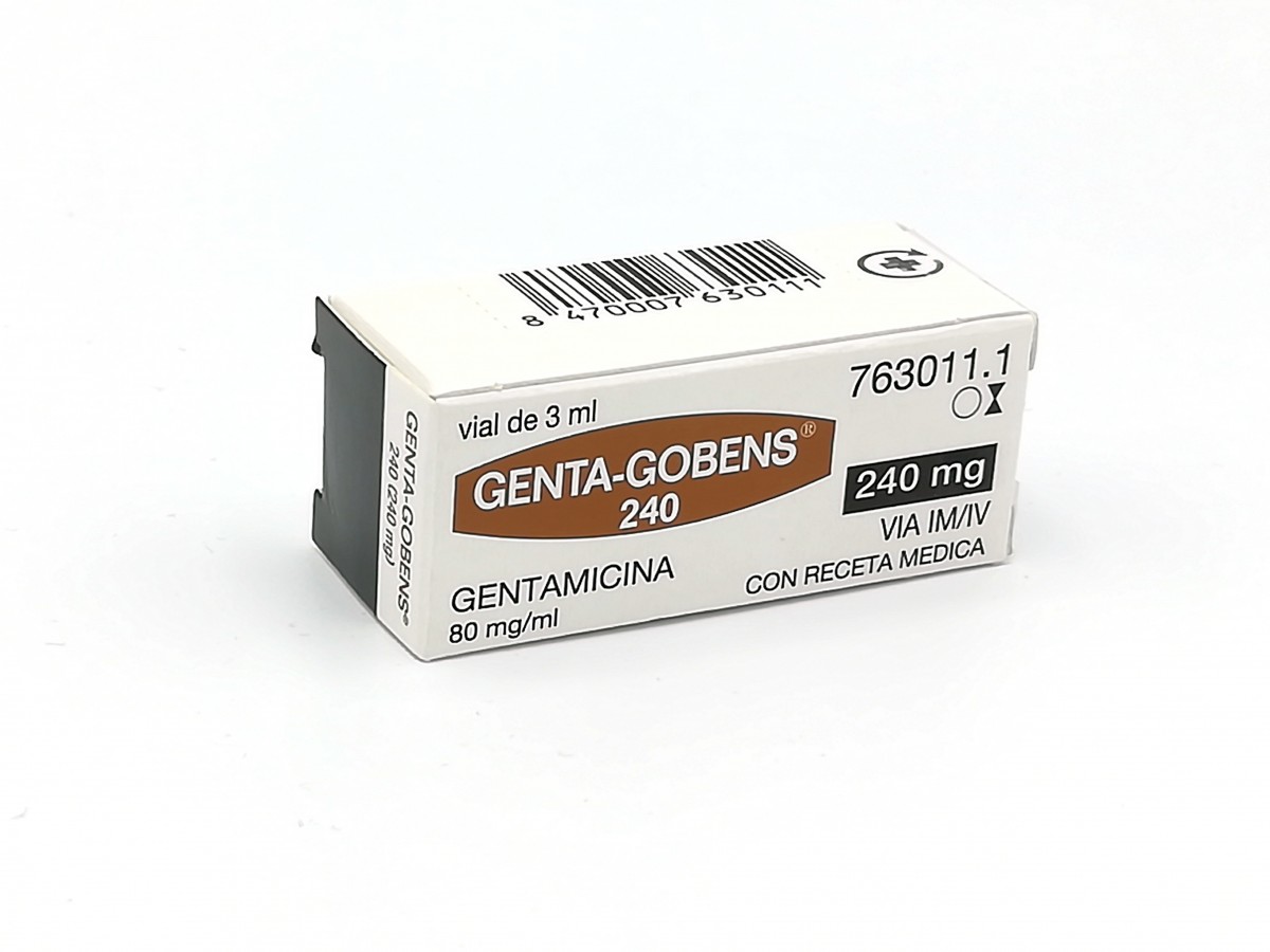 GENTA GOBENS 80 MG/ML SOLUCION INYECTABLE Y PARA PERFUSION, 1 vial de 3 ml fotografía del envase.