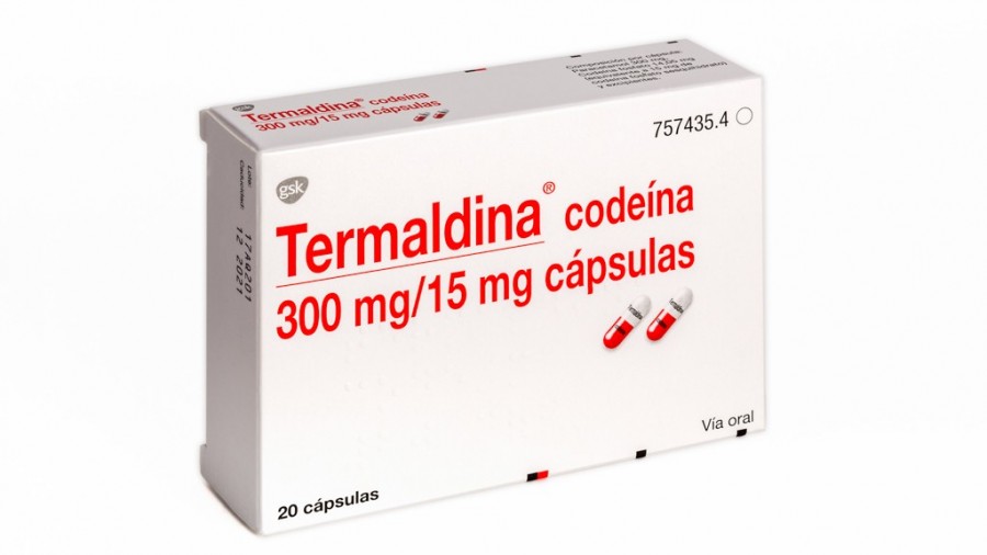 TERMALDINA CODEINA 300 mg/ 15 mg CAPSULAS, 500 cápsulas fotografía del envase.