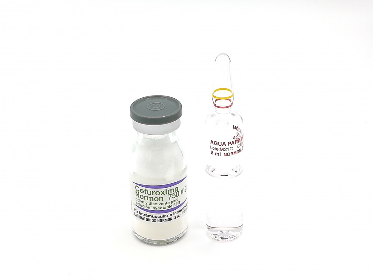 CEFUROXIMA NORMON 750 mg POLVO Y DISOLVENTE PARA SOLUCION INYECTABLE EFG , 100 viales + 100 ampollas de disolvente fotografía de la forma farmacéutica.