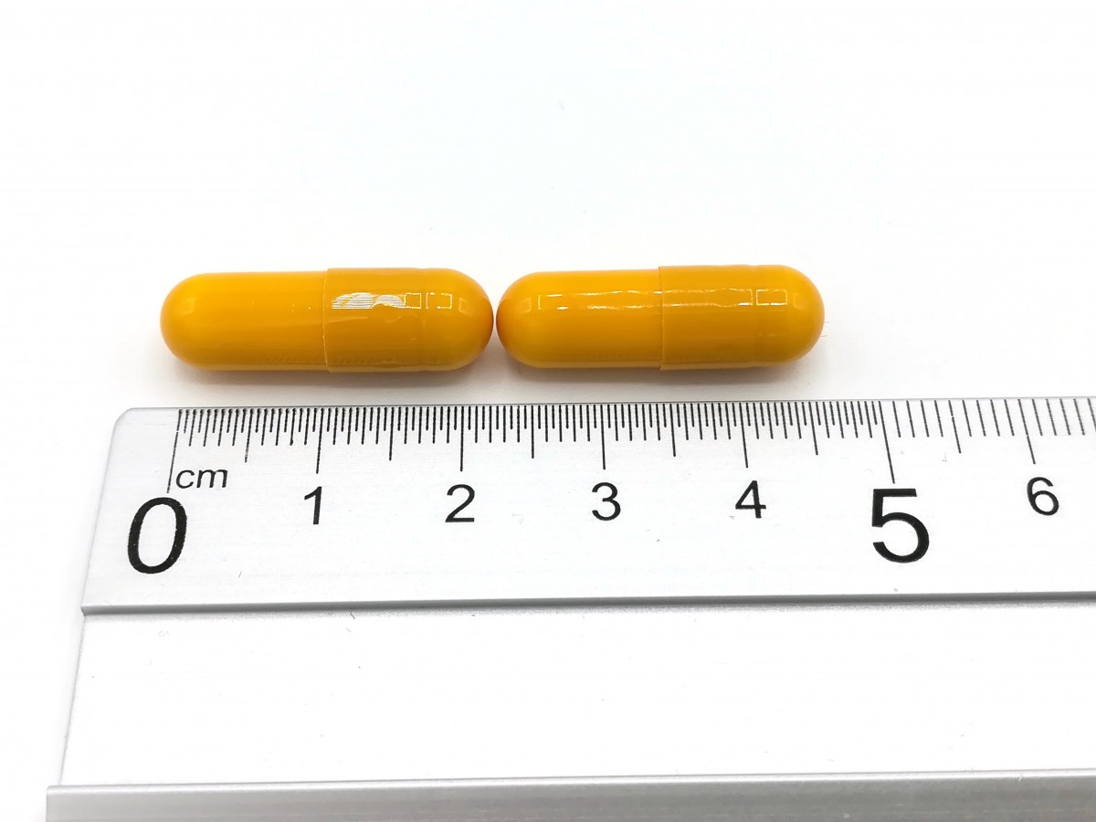 GABAPENTINA NORMON 400 mg CAPSULAS DURAS EFG , 500 cápsulas fotografía de la forma farmacéutica.