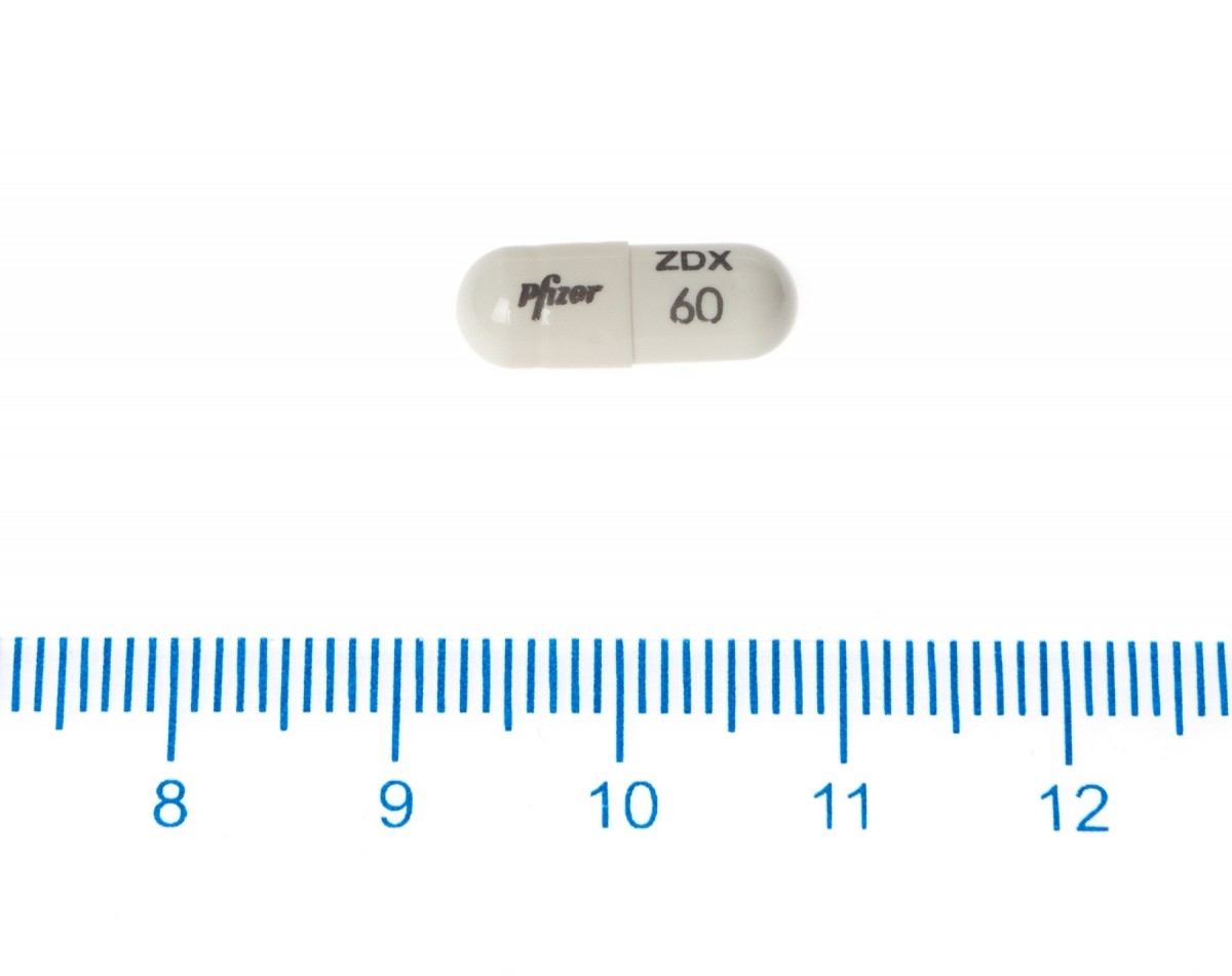 ZELDOX 60 mg CAPSULAS DURAS, 56 cápsulas fotografía de la forma farmacéutica.
