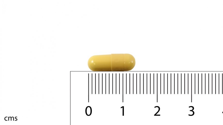 ADOLONTA 50 mg CAPSULAS DURAS , 60 cápsulas fotografía de la forma farmacéutica.