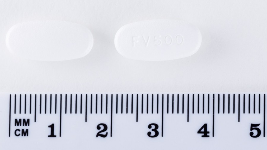 FAMVIR 500 mg COMPRIMIDOS RECUBIERTOS CON PELICULA , 21 comprimidos fotografía de la forma farmacéutica.