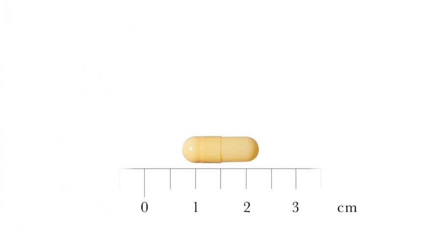 RIVASTIGMINA STADA 1,5 mg CAPSULAS DURAS EFG , 56 cápsulas (PVC/PVC/AL) fotografía de la forma farmacéutica.