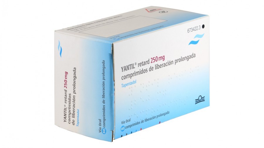 YANTIL RETARD 250 mg COMPRIMIDOS DE LIBERACION PROLONGADA , 100 comprimidos fotografía del envase.