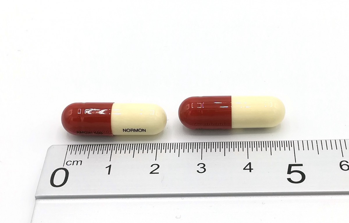 AMOXICILINA NORMON 500 MG CÁPSULAS DURAS EFG  , 24 cápsulas fotografía de la forma farmacéutica.