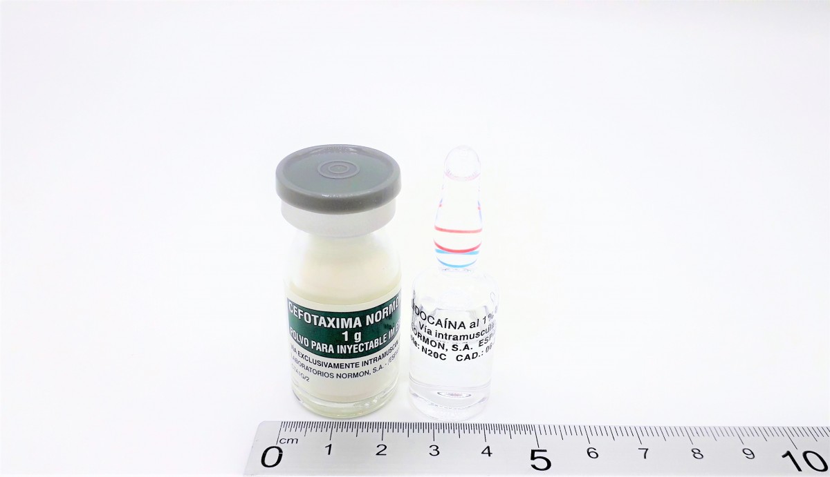 CEFOTAXIMA NORMON 1000 MG POLVO Y DISOLVENTE PARA SOLUCION INYECTABLE EFG, 1 vial + 1 ampolla de disolvente fotografía de la forma farmacéutica.