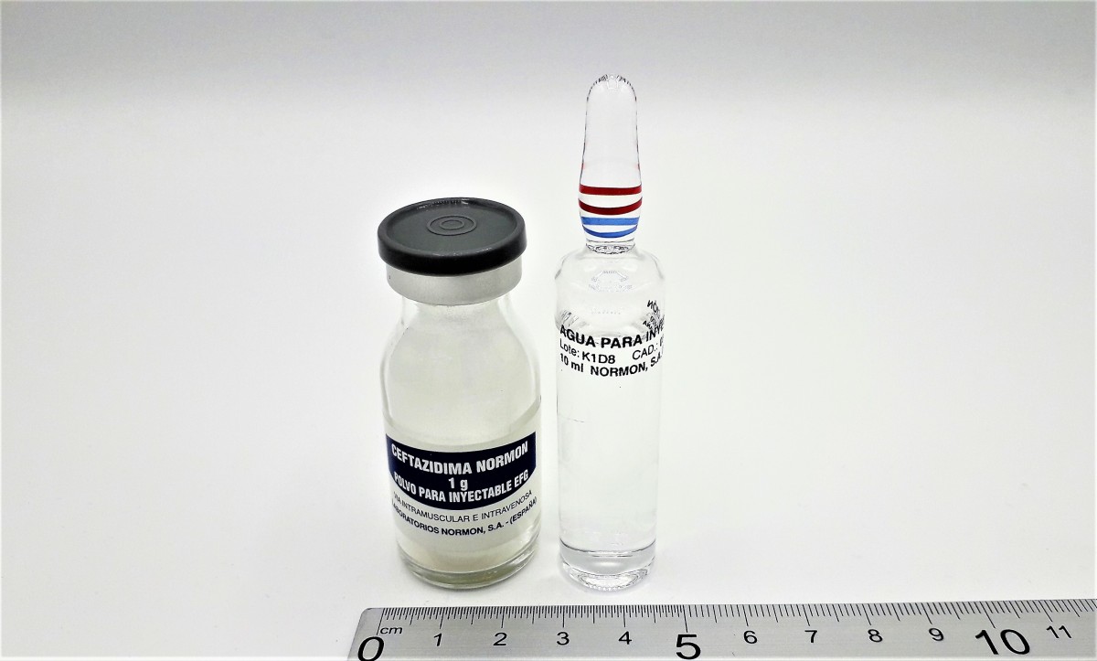 CEFTAZIDIMA NORMON 1 g POLVO Y DISOLVENTE PARA SOLUCION INYECTABLE EFG, 50 viales + 50 ampollas de disolvente fotografía de la forma farmacéutica.