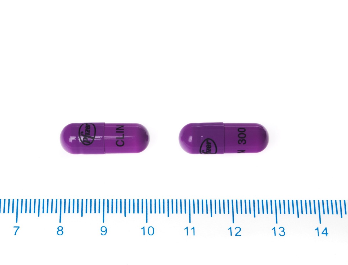 DALACIN 300 mg CAPSULAS DURAS , 24 cápsulas fotografía de la forma farmacéutica.