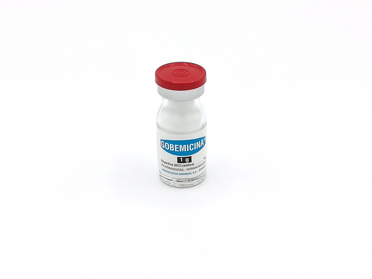 GOBEMICINA 1g INYECTABLE, 1 vial fotografía de la forma farmacéutica.