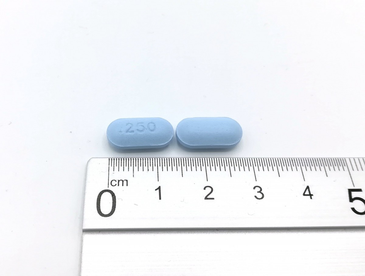 LEVETIRACETAM NORMON 250 mg COMPRIMIDOS RECUBIERTOS CON PELICULA EFG, 60 comprimidos fotografía de la forma farmacéutica.