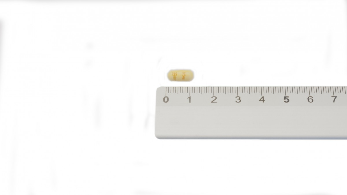 PROGRAF  0,5 mg CAPSULAS DURAS , 30 cápsulas fotografía de la forma farmacéutica.