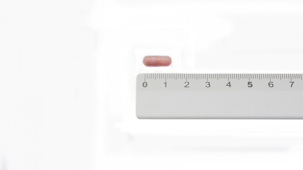 PROGRAF 5 mg CAPSULAS DURAS , 30 cápsulas fotografía de la forma farmacéutica.