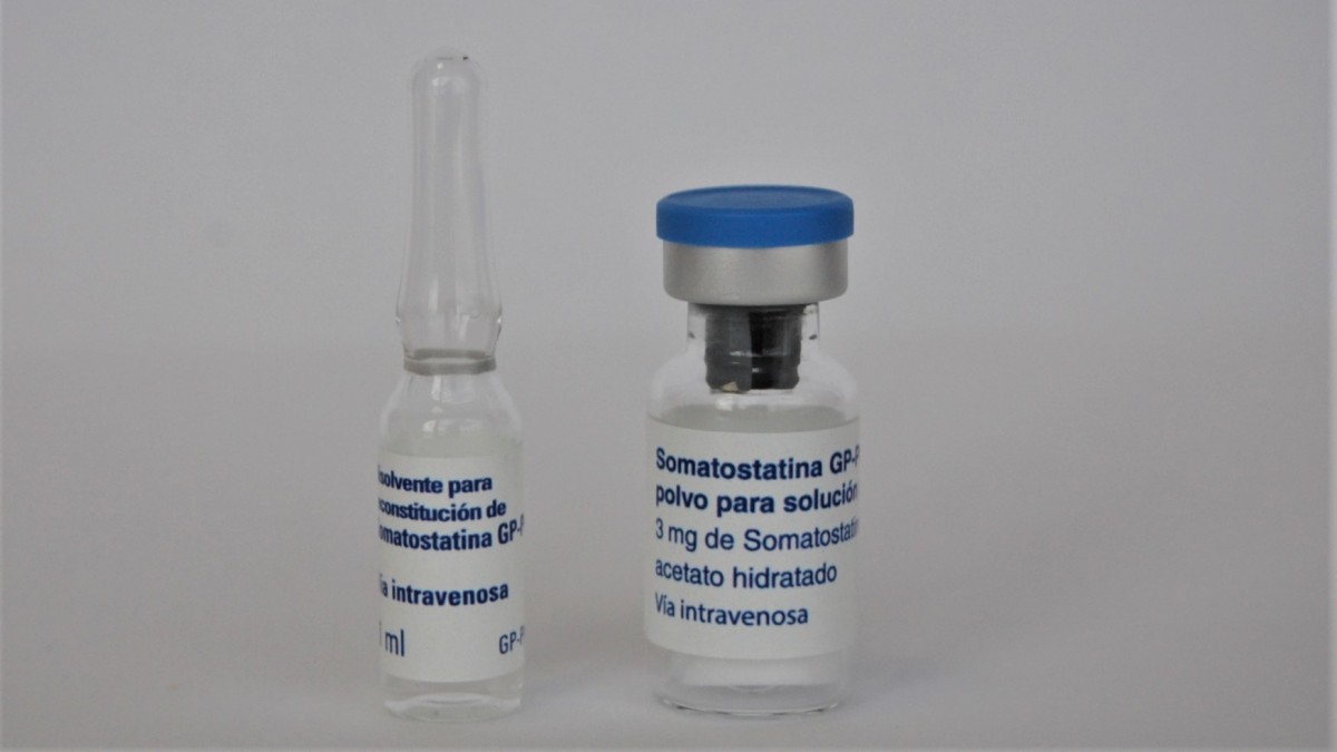 SOMATOSTATINA GP PHARM 3 mg POLVO Y DISOLVENTE PARA SOLUCION PARA PERFUSION EFG , 25 viales + 25 ampollas de disolvente fotografía de la forma farmacéutica.
