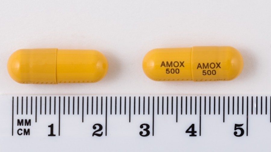 AMOXICILINA SANDOZ 500 mg CAPSULAS DURAS EFG , 24 cápsulas fotografía de la forma farmacéutica.