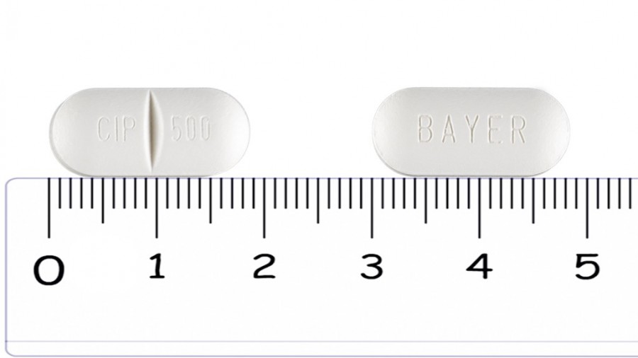 BAYCIP 500 mg COMPRIMIDOS RECUBIERTOS CON PELICULA , 20 comprimidos fotografía de la forma farmacéutica.