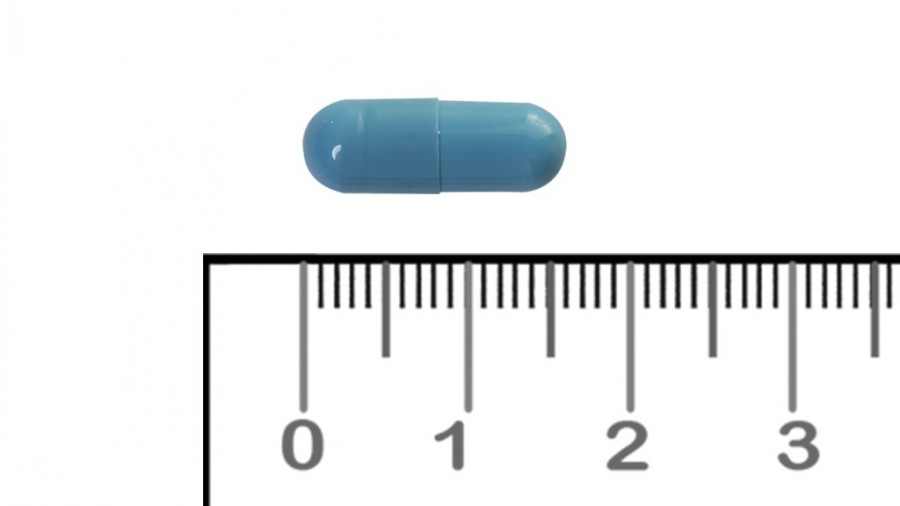 ELIMENS 60 MG CAPSULAS DURAS, 84 cápsulas (Blister) fotografía de la forma farmacéutica.