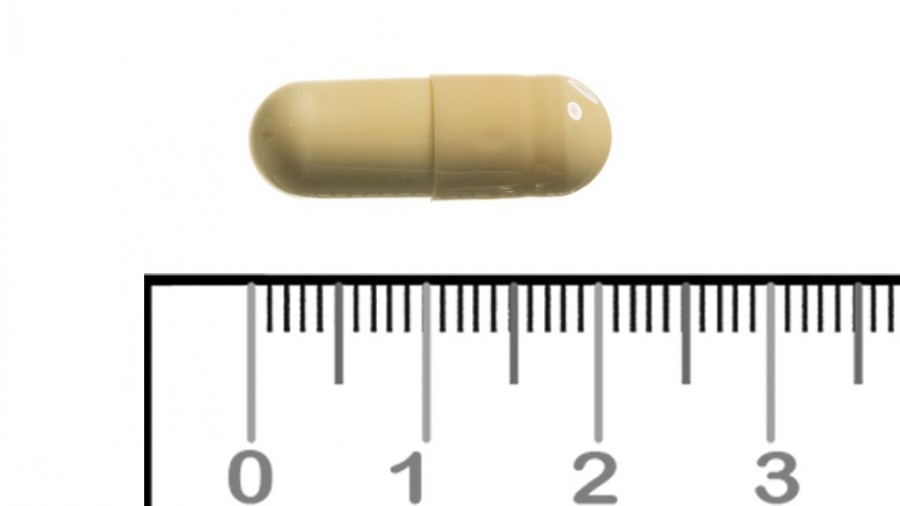GABAPENTINA CINFA 300 mg CAPSULAS DURAS EFG , 90 cápsulas fotografía de la forma farmacéutica.