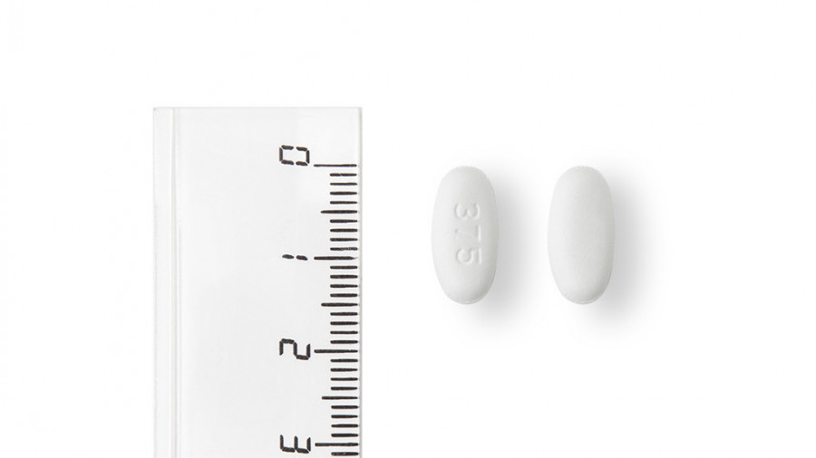 RANOZEK 375 MG COMPRIMIDOS DE LIBERACION PROLONGADA EFG, 60 comprimidos fotografía de la forma farmacéutica.