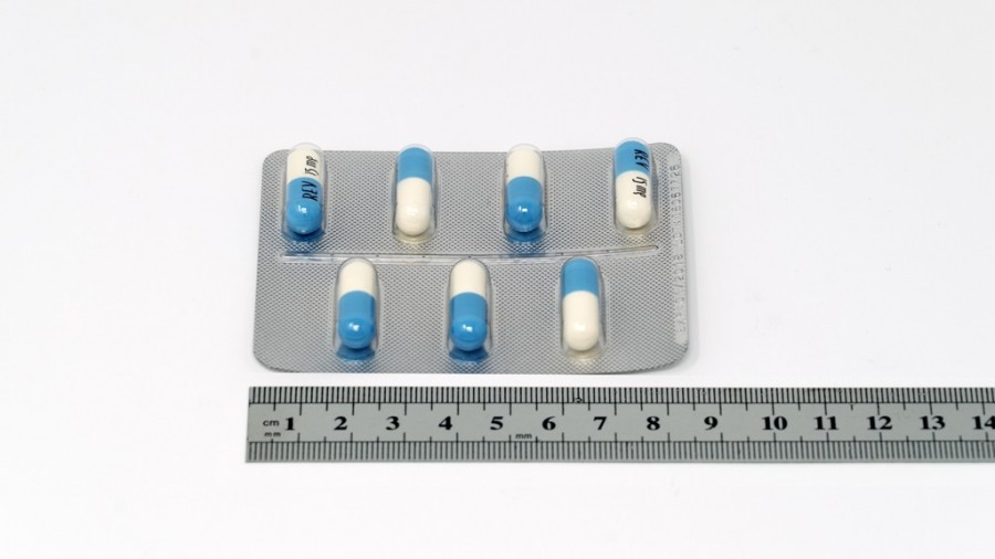 REVLIMID 15 MG CAPSULAS DURAS, 21 cápsulas fotografía de la forma farmacéutica.
