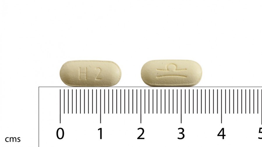 YANTIL RETARD 100 mg COMPRIMIDOS DE LIBERACION PROLONGADA , 100 comprimidos fotografía de la forma farmacéutica.